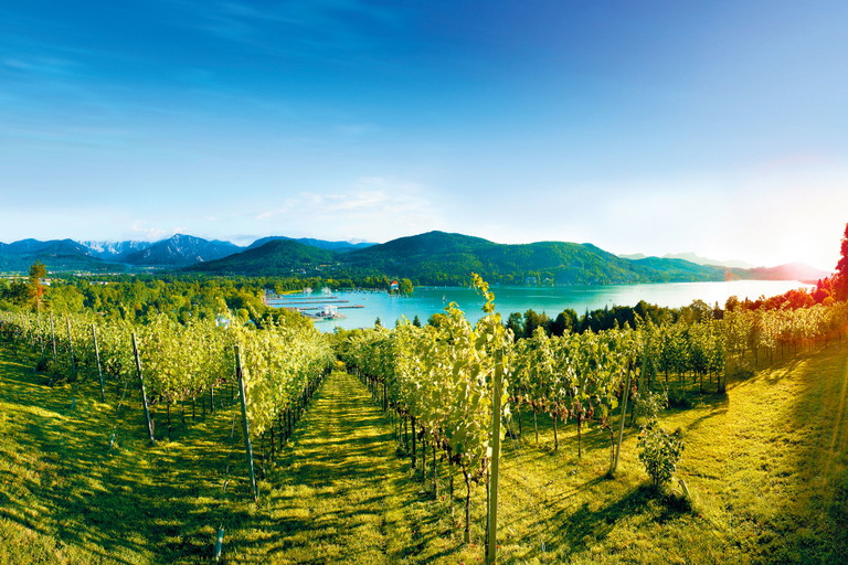 Mit dem »Stadtweingarten Klagenfurt« mischt auch die Landeshauptstadt beim Kärntner Wein-Boom mit. Riesling vom Wörthersee ist ein Genuss für alle Sinne.&nbsp;