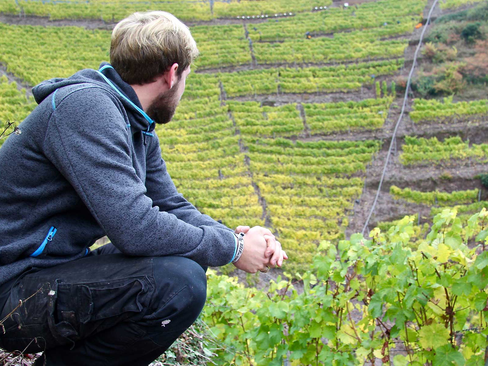 Kilian Franzen bringt den Steillagen des Bremmer Calmont eine Hochachtung entgegen, die man bei jedem Schluck schmeckt.