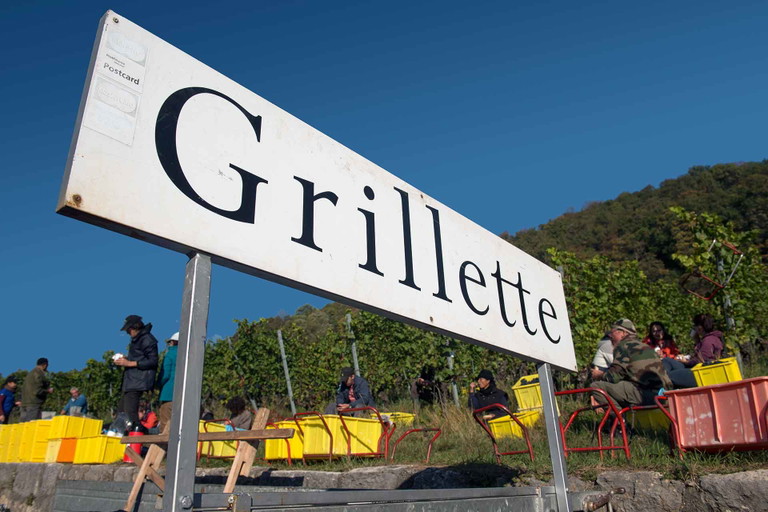 Erntepause am Weinberg von Grillette.