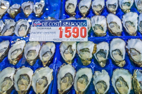 Sydney Fish Market