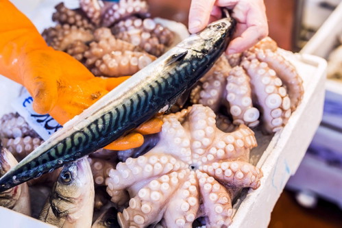 Pescaria, Rialtomarkt, Venedig