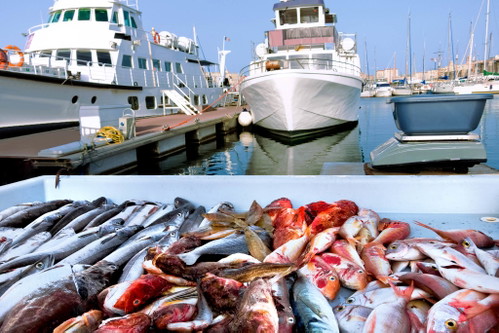 Marché aux Poissons, Vieux Port, Marseille