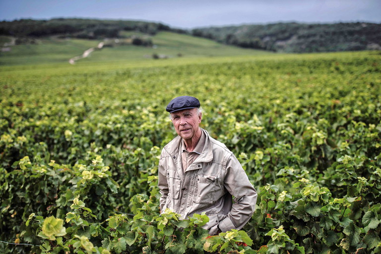 Weltklasse aus dem ­Burgund: Romanée-Conti Aubert de Villaine ist der König des Pinot Noir.