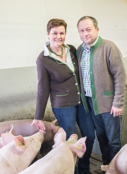 Familie Stranzl mit ihren glücklichen Schweinen.