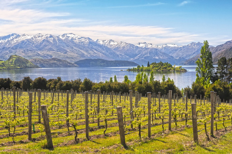 Neuseeland freut sich nach viel Regen über ein solides Jahr.