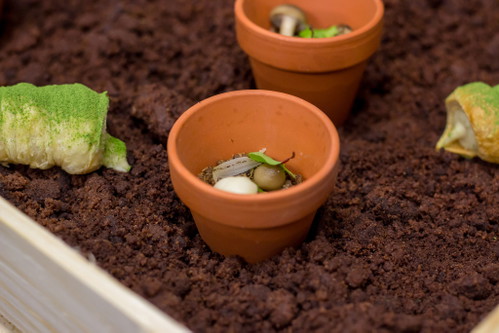 Amuse Bouche rund um das Thema Garten mit essbarer Erde.&nbsp;
