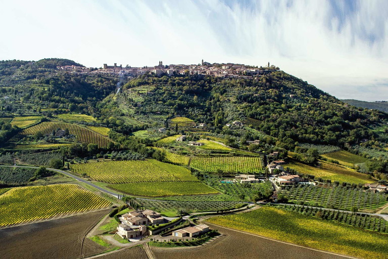 Weingut vor den Toren der Stadt: Canalicchio di Sopra.