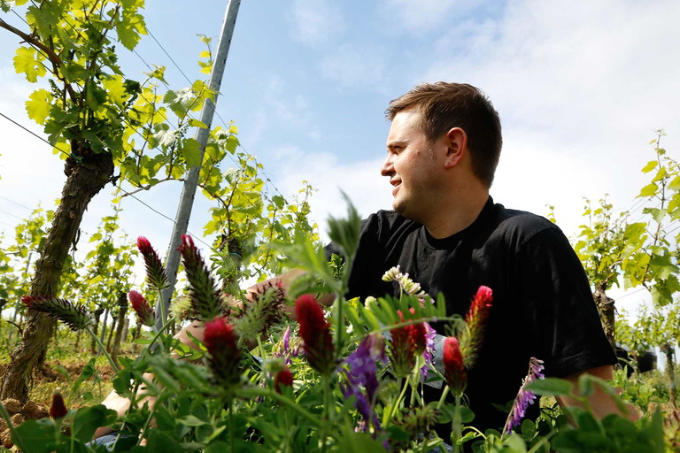 Dominik Stern: Der Grauburgunder soll den Sortentyp zeigen, die nussigen Aromen – und die Fähigkeit, bei der Speisenbegleitung ein Allrounder zu sein.