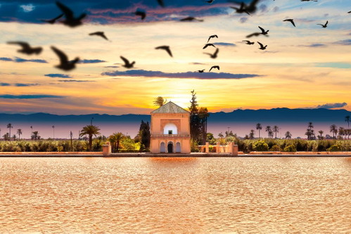 Marrakeschs Stadtpark, der »Jardin de la Ménara«, bietet in der Abendsonne eine malerische Kulisse.