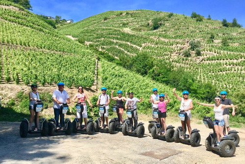 Originell unterwegs mit dem Segway in den Weinbergen.