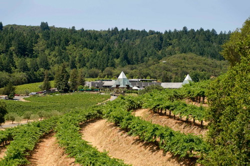 Das Weingut von Hollywood-Regisseur Francis Ford Coppola.