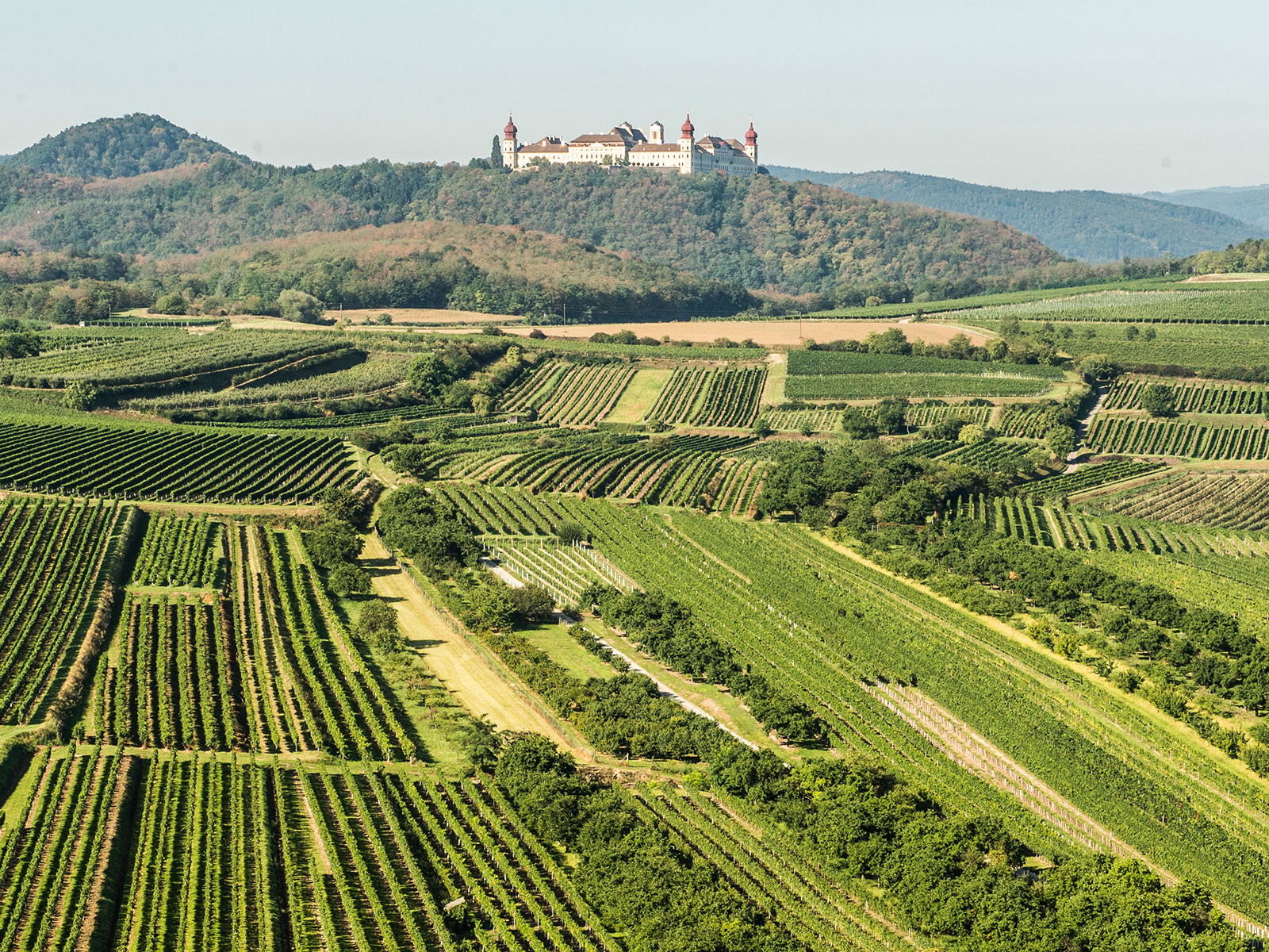 Blick auf Stift Göttweig im Kremstal