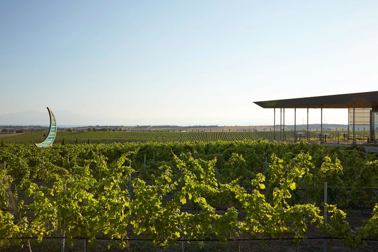 Das Weingut Ktima Gerovassiliou, etwa 25 Kilomter südöstlich von Thessaloniki.