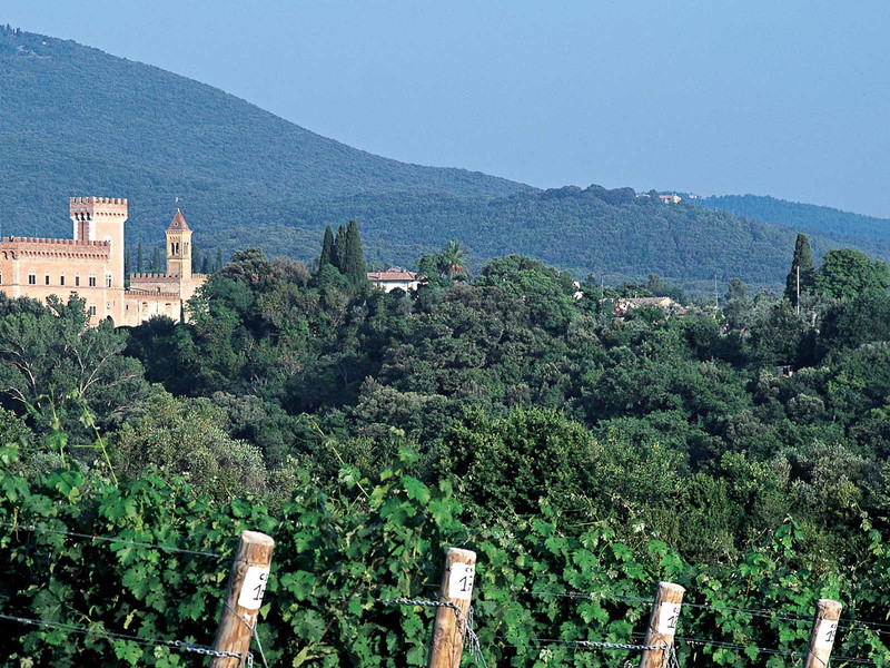 Die Weinlandschaft rund um das Weingut Masseto in Bolgheri.