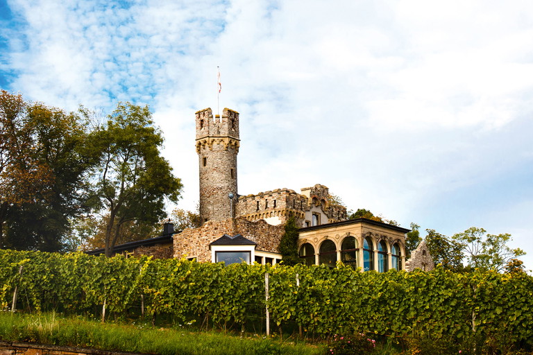 Fouquets Wirkungsstätte Burg Schwarzenstein, umgeben von den Weinbergen der Lage Johannisberger Schwarzenstein.