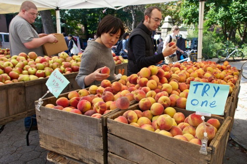 Der Union Square Greenmarket in New York.