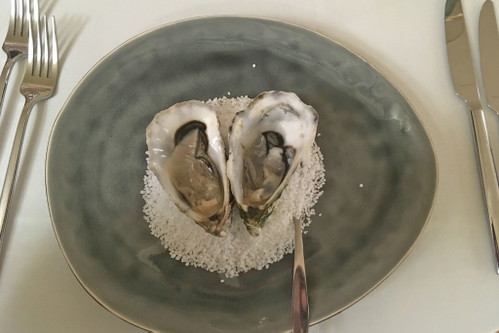 Der 1. Gang: Eine Auslese hochwertiger Austern von Jolanda de Colò, dazu ein Spumante vom Gardasee, als Empfehlung des Hauses, zum Apéritif.