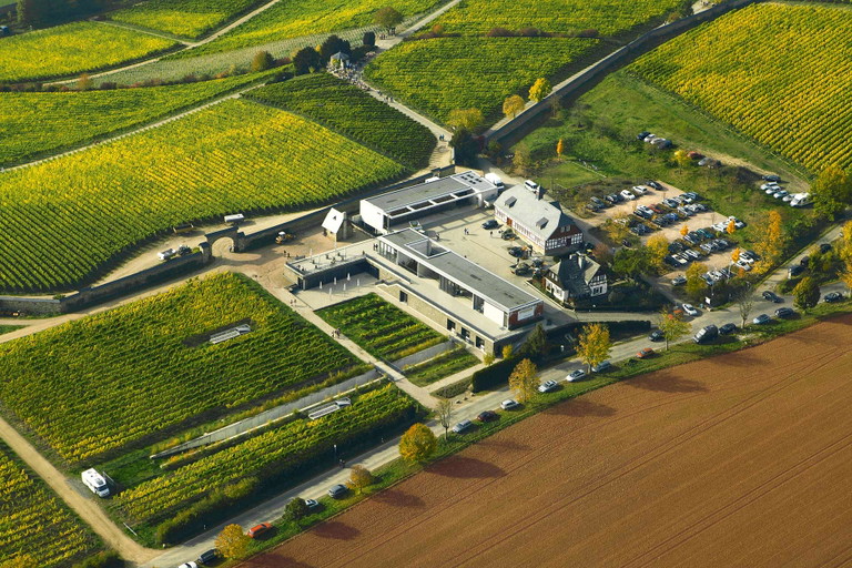 Neu und alt vereint: Der Keller-Neubau der Domäne Steinberg, 2008 eröffnet, fügt sich harmonisch ins Ensemble ein.