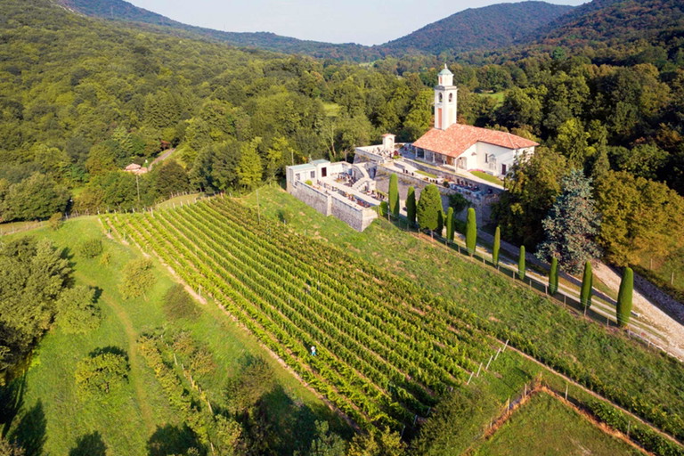 Rebberg in Meride am Abhang des Monte San Giorgio.