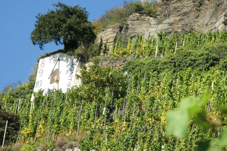 Die Sonnenuhr in Wehlens Weinberg wurde 1842 von Jodocus Prüm erbaut, einem Bruder von Matthias.