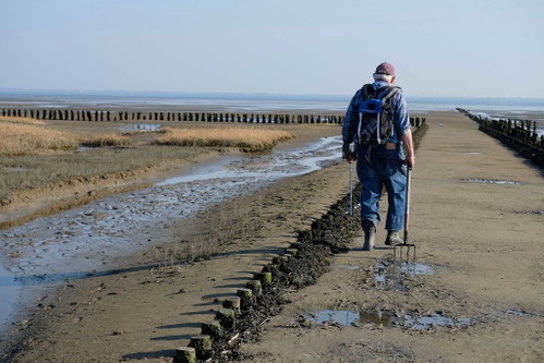 Wann kann man schon einmal ein UNESCO-Weltkulturerbe so hautnah erleben, wie das Wattenmeer?&nbsp;