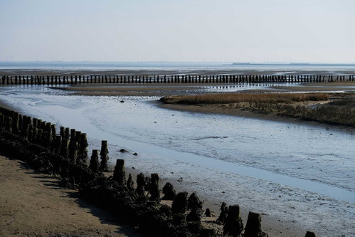 Fast das gesamte Wattenmeer steht unter Naturschutz.