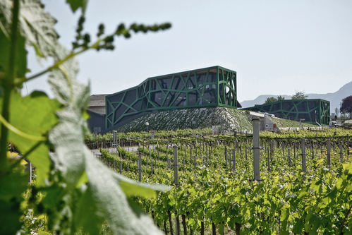 Die Kellerei Tramin.