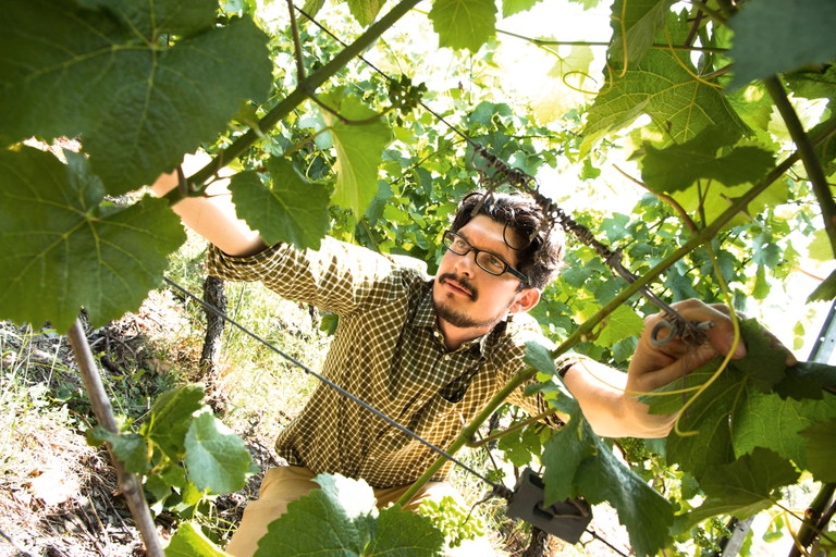 Christos Christian Theodoropoulos, Weingut Lithos: Auch der Mittelrhein hat Spätburgunder-Talent.