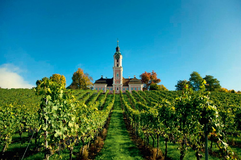 Barock-Basilika Birnau, umgeben von Reben des Markgrafen von Baden.