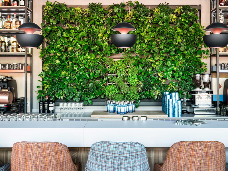 In der Bar »Herbarium« stehen Pflanzen und Kräuter im Mittelpunkt.
