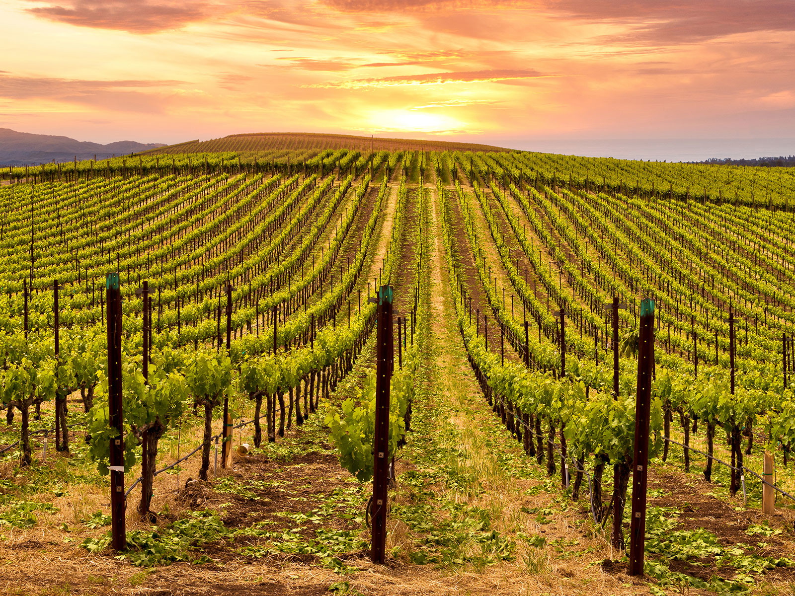 Napa Valley, Kalifornien