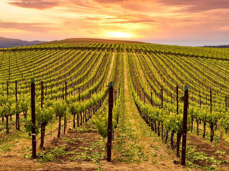 Napa Valley, Kalifornien