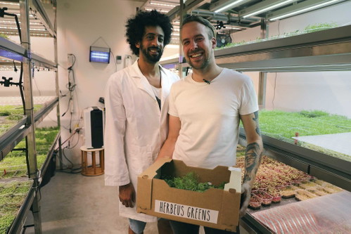 Ignaz Pluhar (l.) betreibt mit Clemens Jahn (nicht im Bild) Herbeus Greens, wo sich Herzig mit frischen Kräutern und Micro-Gemüse für sein Maserati-Gericht eindeckt.