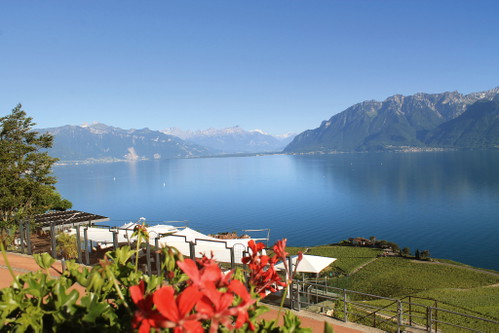 Perfekter Ausblich von der Terrasse des Hotels »Le Baron Tavernier«.