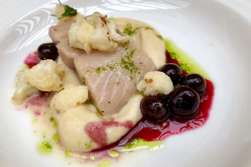 Gebeizter Huchen auf Senfkraut, schwarzer Holunder und grünem Senf