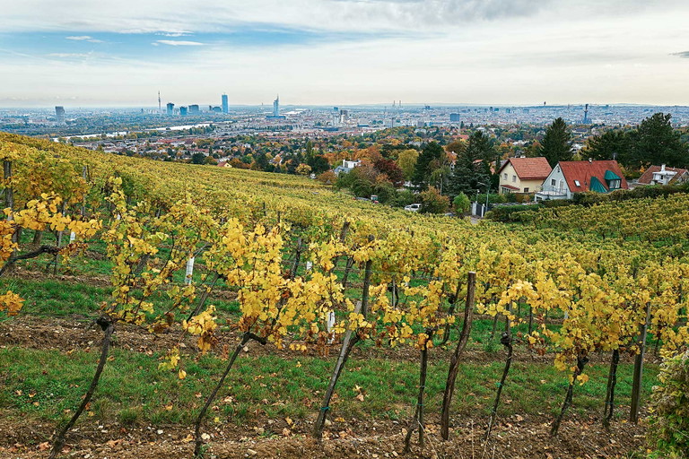 Sie zählt zu den absoluten Filetstücken am Nussberg: Die »ÖTW.Erste Lage« Ried Preussen. Hohe Quarzanteile im Boden prägen die Weine und verleihen ihnen Spannung und Vitalität. 