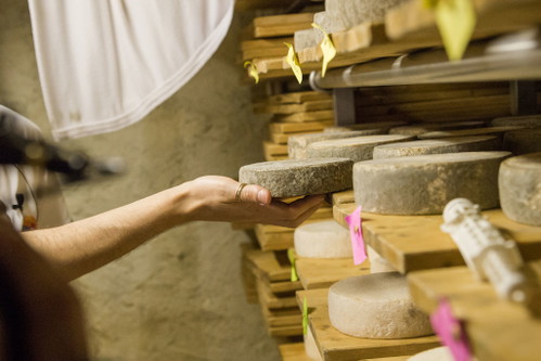 Käse von der Alpe Rompiago&nbsp;&nbsp; 