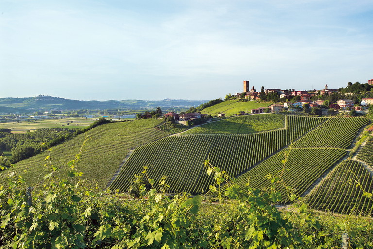 Barbaresco: Die Lagen von Gaja sind klar auszumachen, weil in vertikalen Reihen gepflanzt.