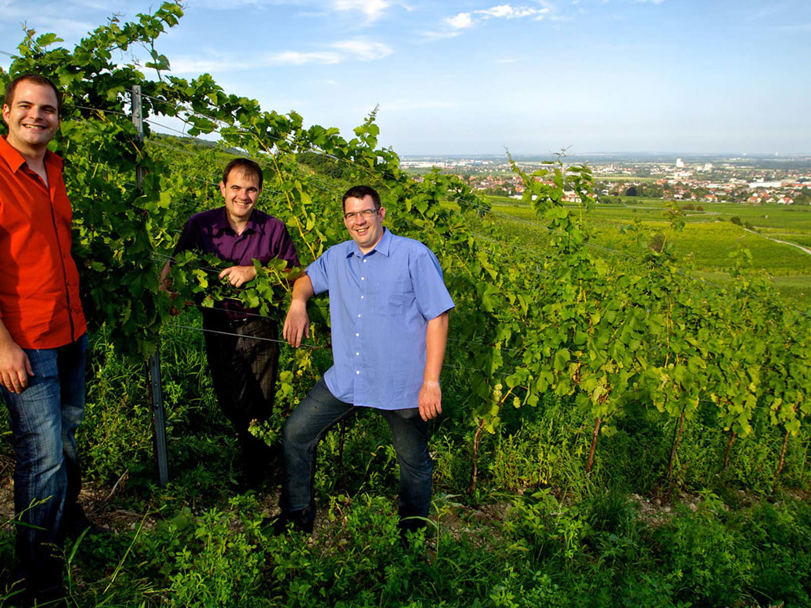 Die Winzer der Familie Reinisch&nbsp;(v. l.): Michael, Christian und&nbsp;Hannes Reinisch