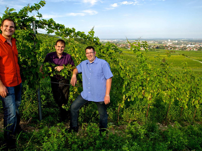 Die Winzer der Familie Reinisch&nbsp;(v. l.): Michael, Christian und&nbsp;Hannes Reinisch
