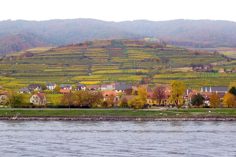 Die Rieden der Domäne Wachau werden erwandert. 