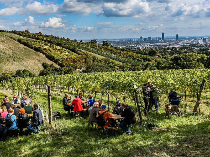 Weingenuss mit Blick auf Wien