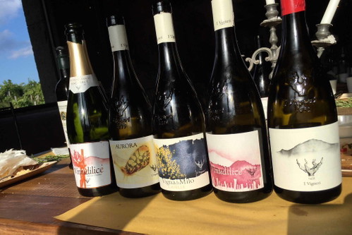 Die Weine von I Vigneri sind alle eigenstandig und klar als »Weine vom Ätna« ausmachbar.