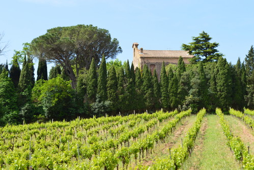 Château Beauregard Mirouze