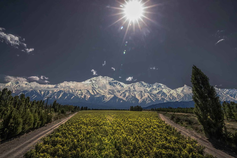 Der sagenunwobene Adrianna Vineyard liegt auf gut 1500 Meter Seehöhe.