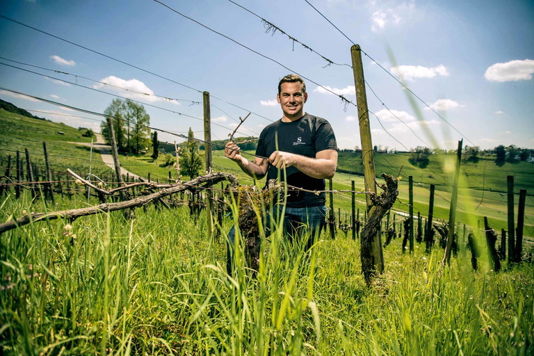 Winzer Andreas Schwarz benutzt gerne einen Anteil getrockneter Trauben, um seine Weine auf natürliche Weise zu konzentrieren.