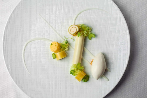 Apfel Panna Cotta aus dem »The Modern.«