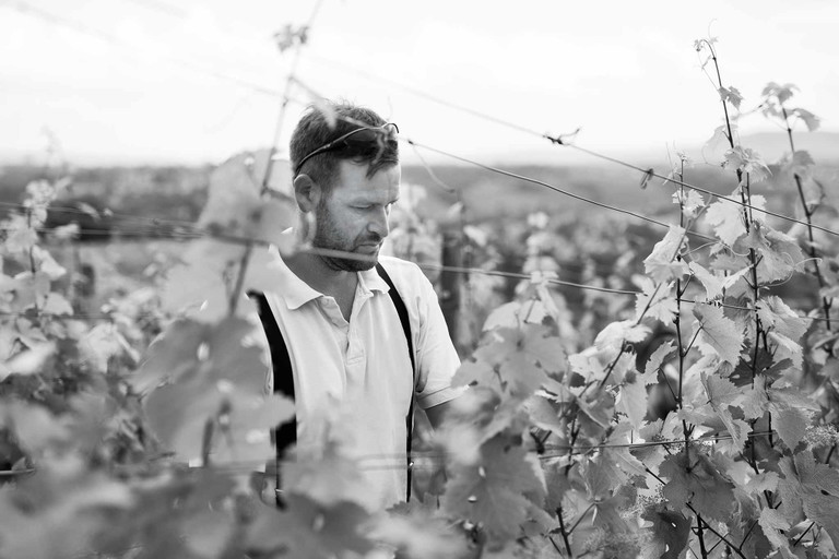 Christoph Ruck, Weingut Rux in Stuttgart-Mühlhausen.