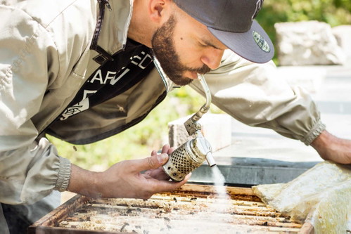 Benebelte Bienen stechen nicht – wenn Edward Obika nach den Waben schaut, braucht er seine Imkerpfeife.