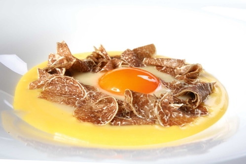 Perfekte Harmonie: Käsesauce, Ei und Weiße Trüffel.